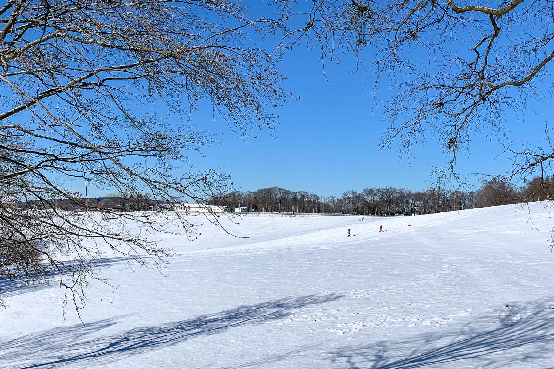 sauerland-schlitten-fahren-skifahren-skilift-hardenberg-meinerzhagen-ebbegebirge-nordhelle-wintersport-schnee