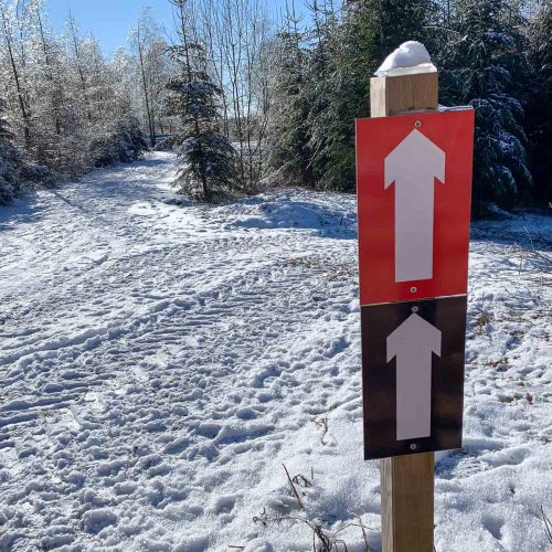 sauerland-schlitten-fahren-skifahren-skilift-hardenberg-meinerzhagen-ebbegebirge-nordhelle-wintersport-schnee